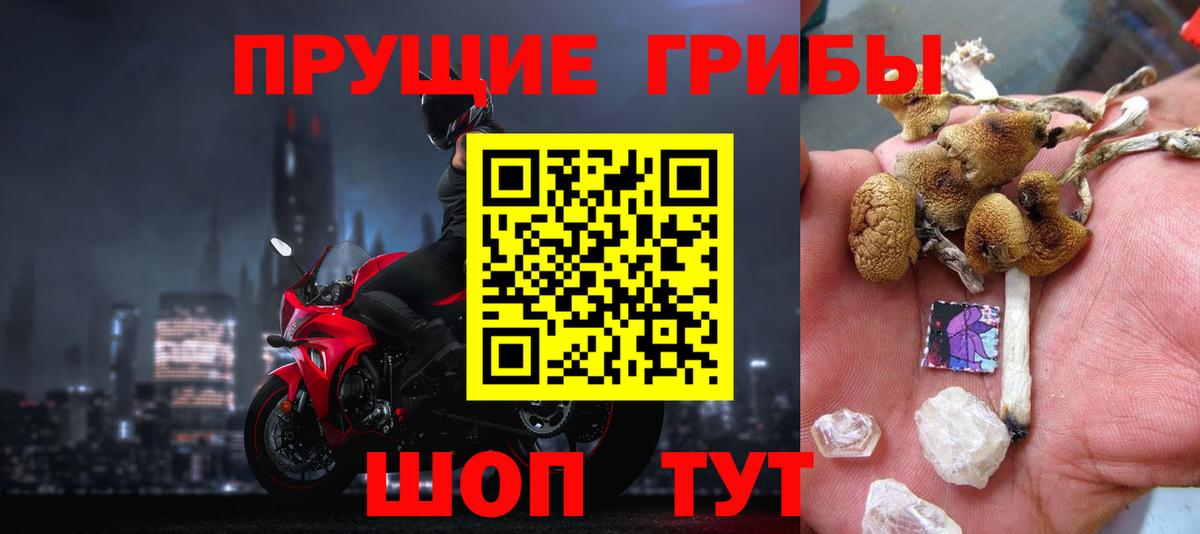 Галлюциногенные грибы Psilocybine cubensis Белово